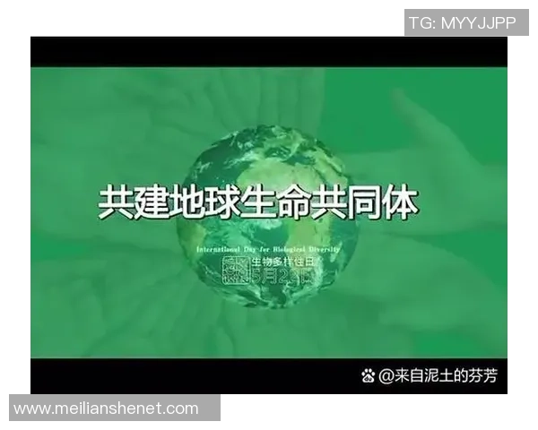 谢姓足球明星的辉煌历程与成就解析